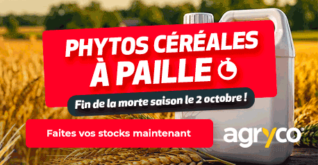 Publicité